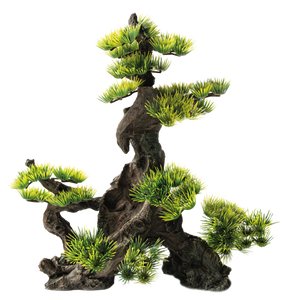 Superfish Deco Bonsai Face XXL - Groot Oosters Aquarium Decor, Veilig voor Vissen
