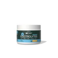 The Green Athlete Elektrolytes orange-lemon 320gr The Green Athlete Elektrolytes orange-lemon 320gr