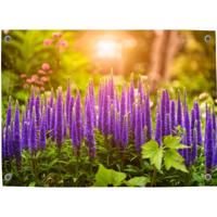 Tuinposter Voorjaar 3 - Pillow Buddies
