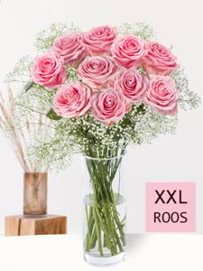 10 roze rozen met gipskruid (XXL rozen)