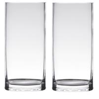 Hakbijl Glass Bloemenvaas - Set van 2x stuks - cilinder - glas - transparant - 20 x 12 cm - Bloemen/