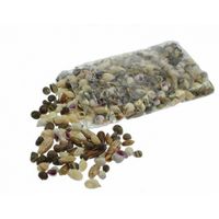 Kleine decoratie schelpen/schelpjes - zak van 1x kilo - mix kleuren - 1 a 4 cm Kleine decoratie schelpen/schelpjes - zak van 1x kilo - mix kleuren - 1 a 4 cm