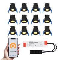 Set van 12 Milano Smart LED Mini Inbouwspots - Veranda spots - 12V 3W 200lm - Dimbaar - Wifi & Bluetooth - 2700K - IP65 waterdicht - Zwart
