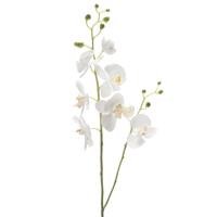 Emerald Kunstbloem Orchidee - 95 cm - wit - losse tak - kunst zijdebloem - Phalaenopsis