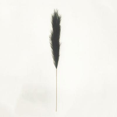 Pampas gras 130 cm Zwart kunstplant - Buitengewoon de boet