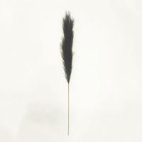 Pampas gras 130 cm Zwart kunstplant - Buitengewoon de boet