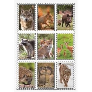 Wilde dieren 3D sticker set