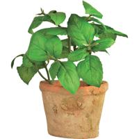 Kunstplant/kruiden basilicum - in oude terracotta pot - 15 cm - kruiden