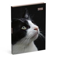 Katten Desk Agenda 2026