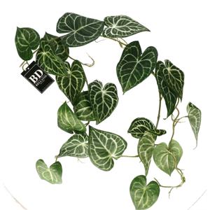 Bellatio Design kunstplant/hangplant slinger - Anthurium - groen - 109 cm