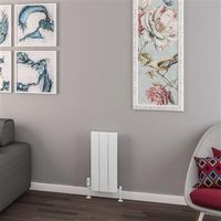 Eastbrook Withington radiator 30x60cm aluminium 305W wit mat - thumbnail