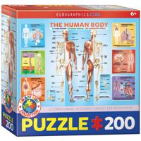 Eurografiek Het menselijk lichaam (200)