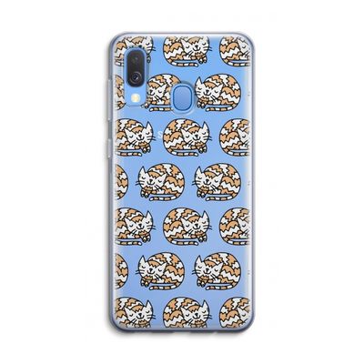 Slapende poes: Samsung Galaxy A40 Transparant Hoesje