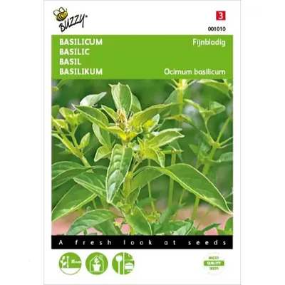Basilicum Fijne
