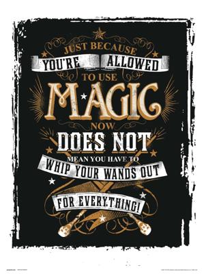 Kunstdruk Harry Potter Magic 30x40cm