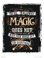 Kunstdruk Harry Potter Magic 30x40cm