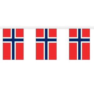Noorwegen vlaggenlijn van stof 3 m