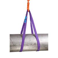 REMA rondstrop - polyester - 1,5 m - 1000 kg - s5-pe - paars - 1301003