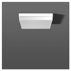 221161.002  - Ceiling-/wall luminaire 1x21W 221161.002