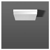 221161.002  - Ceiling-/wall luminaire 1x21W 221161.002