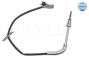 Sensor, uitlaatgastemperatuur 16148000032