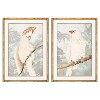 Schilderij DKD Home Decor Papegaai Tropisch 50 x 3 x 70 cm (2 Stuks)