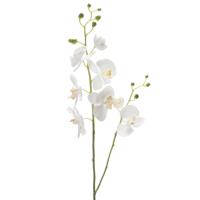 Emerald Kunstbloem Orchidee - 95 cm - wit - losse tak - kunst zijdebloem - Phalaenopsis   -