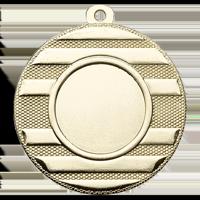 Sportprijzen Leiden Medaille ME.071