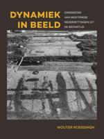 Dynamiek in beeld (Paperback)