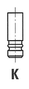 Uitlaatklep R3966R