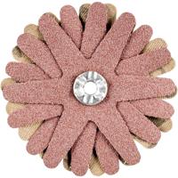 PFERD TOOLS 42732086 Schuursterren Diameter 60 mm 10 stuk(s)