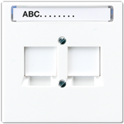 Jung RJ45 inbouwset met draagframe en inzetplaat (excl. connectoren) alpin wit LS969-2NWEWW