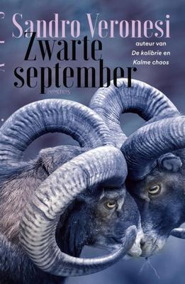 Zwarte september - Sandro Veronesi - ebook