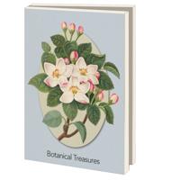 Kaartenmapje Groot: Botanical Treasures, Chester Beatty