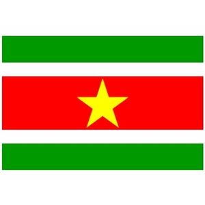 Mini vlag Suriname 60 x 90 cm