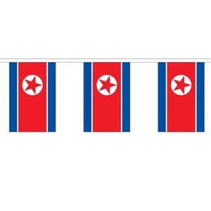 3x Buiten vlaggenlijn Noord Korea 3 meter