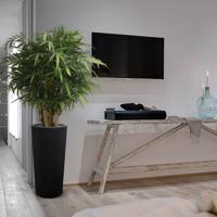 Buddha Bamboe deluxe kunstplant 125cm