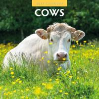 Koeien Kalender 2027