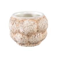 PTMD bloempot fareeda xs créme 9,5 cm | 12 stuks