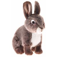 Pluche konijn / haas knuffel zittend 21 cm - thumbnail
