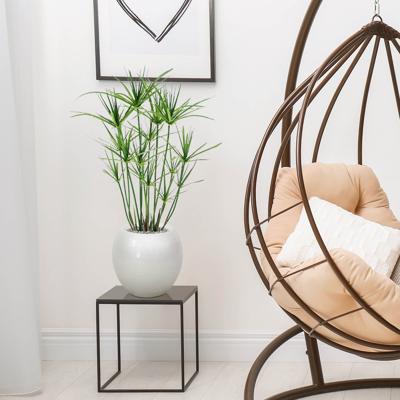 Papyrus kunstplant 65cm