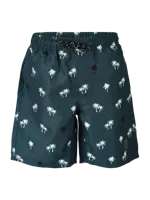 Brunotti Hestey-AO Swimshort