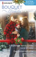 Bijzonder kerstcadeau ; Een winterromance - Cathy Williams, Shirley Jump - ebook