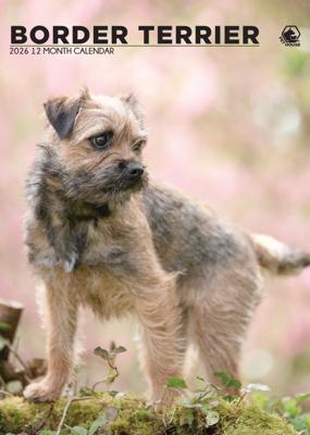 Border Terrier A3 Kalender 2026