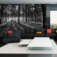 Zelfklevend fotobehang -  Licht in het bos , Zwart wit  , Premium Print - thumbnail