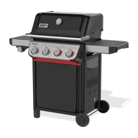 Gasbarbecue spirit e-435