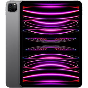 Apple iPad Pro 11 (2022) 1TB WiFi Tablet Grijs