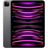 Apple iPad Pro 11 (2022) 1TB WiFi Tablet Grijs