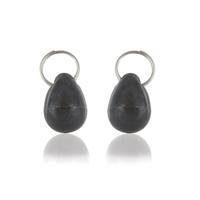Petsafe magneet / sleutel 2 stuks