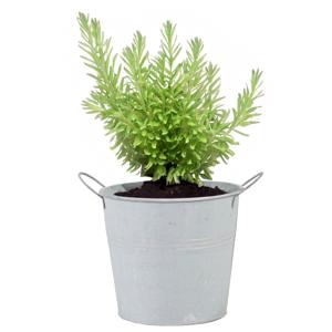 Plantenpot/bloempot/emmer - zink - whitewash - D16 x H14 cm